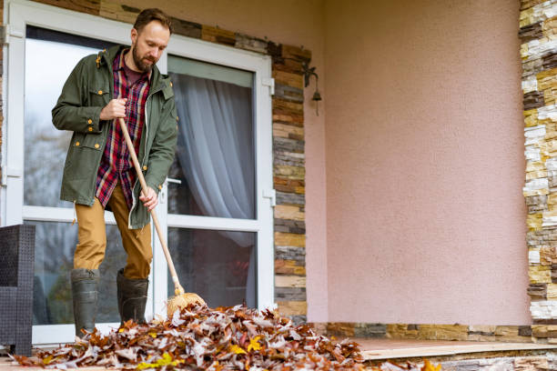 Best Commercial Cleanout Services  in Lenox, IA